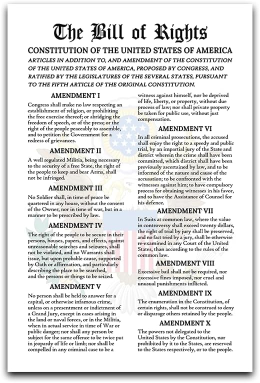 The Bill of Rights Poster, The U.S Constitution Wall Art, US History Government for Classroom Decor, US History Print, Ten Amendment Inspiration