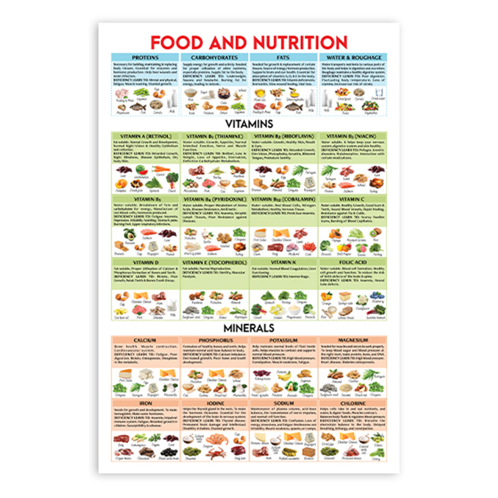 Food and Nutrition Poster - Vitamin and Mineral Guide Poster, Vitamin Reference Chart Poster - Nutrition Information Chart